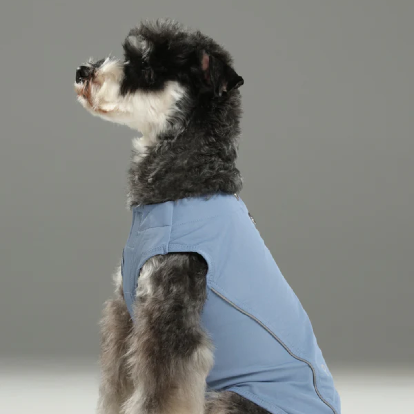 Chill Vest Shirt Blue