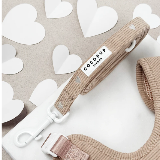 Chai Hearts Leash