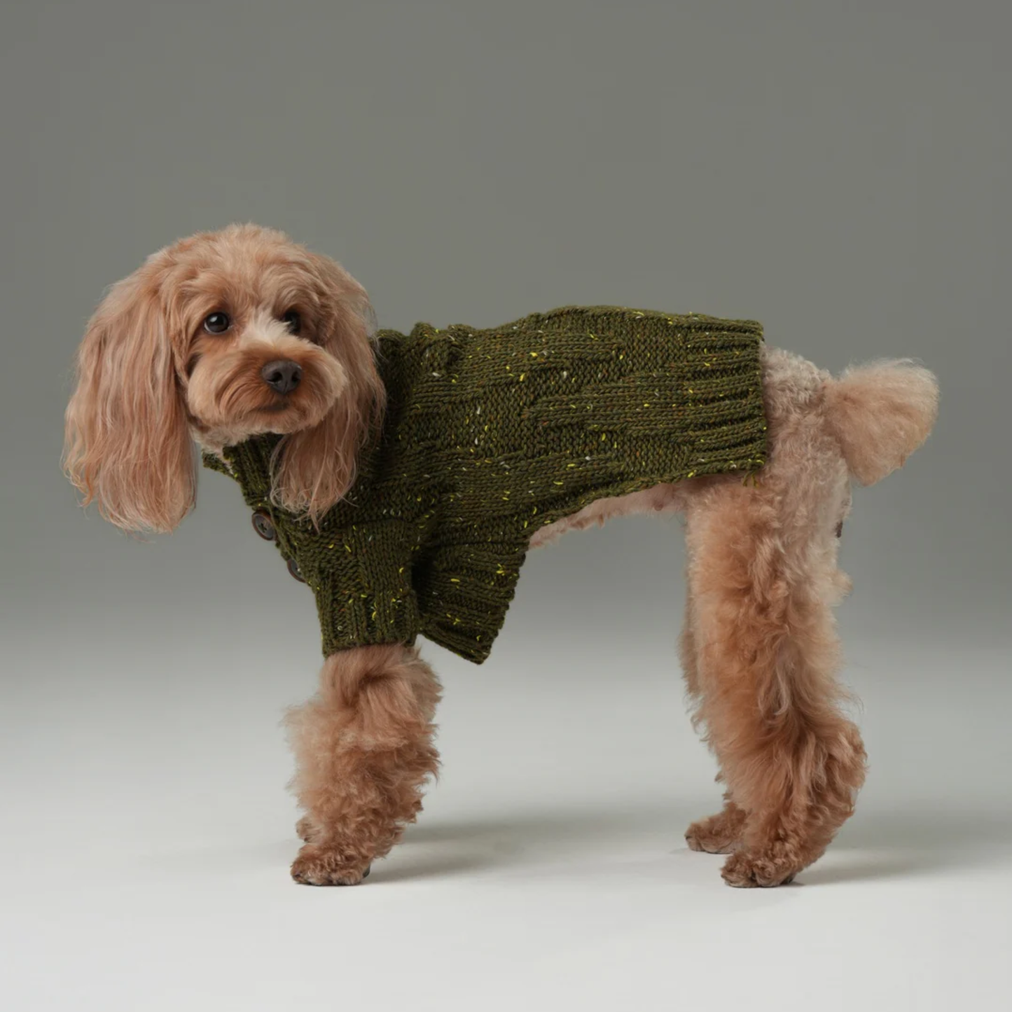 Glacier Pet Sweater Olive Green