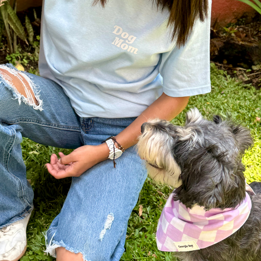 Dog Mom Tshirt Baby Blue