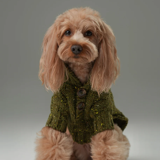 Glacier Pet Sweater Olive Green