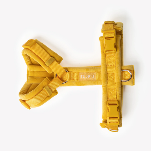 Yellow Velvet Dog Harness