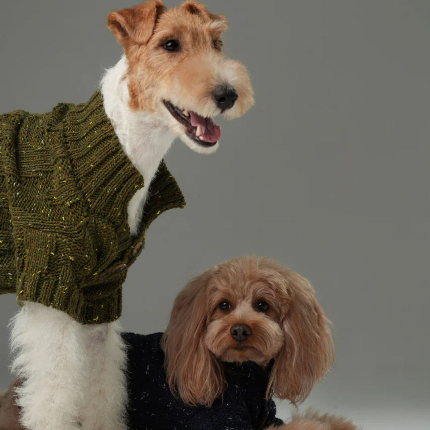 Glacier Pet Sweater Olive Green