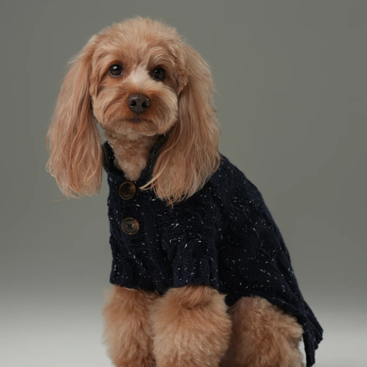 Glacier Pet Sweater Navy