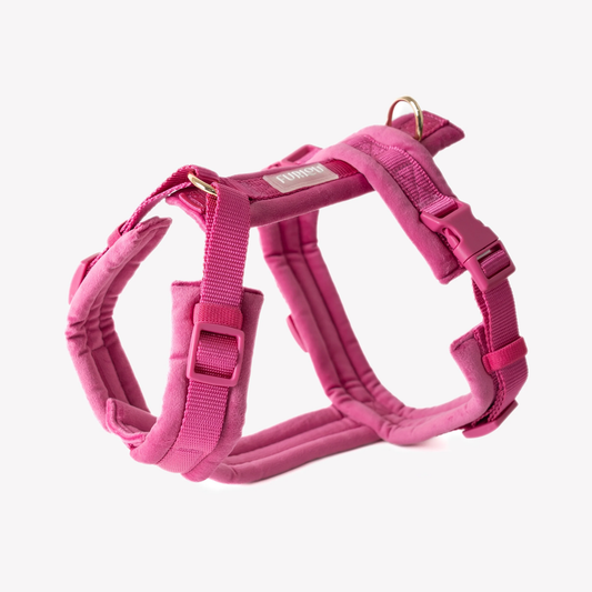 Magenta Velvet Dog Harness