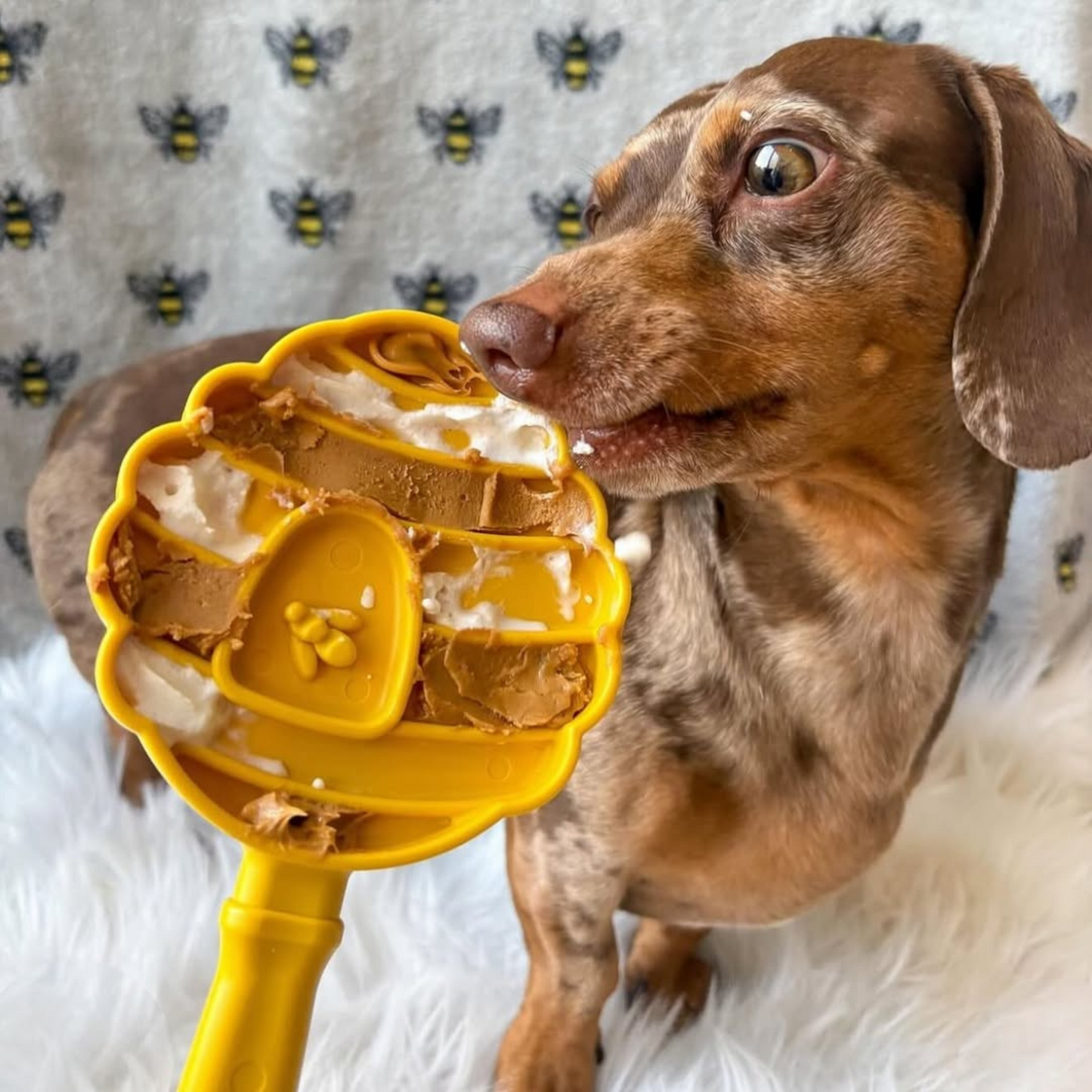 Lick Stick