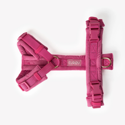 Magenta Velvet Dog Harness