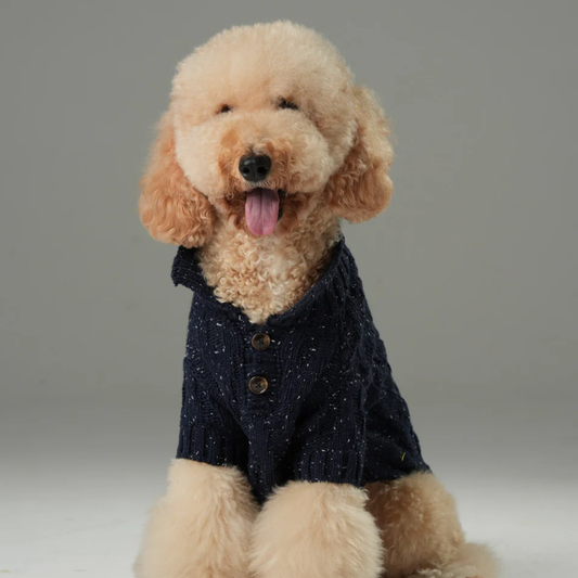 Glacier Pet Sweater Navy