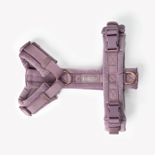 Lilac Velvet Dog Harness