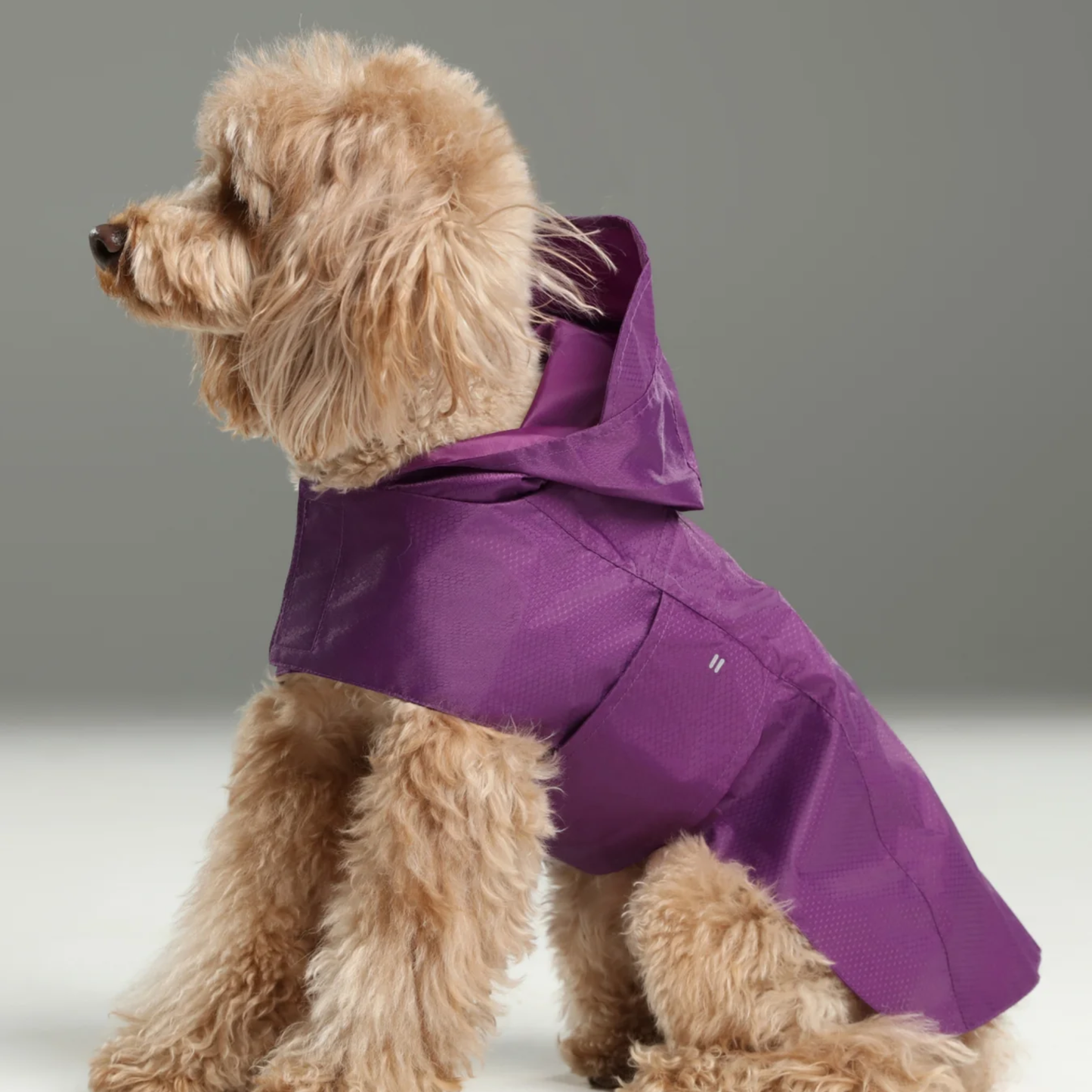 Capsule Raincoat Purple