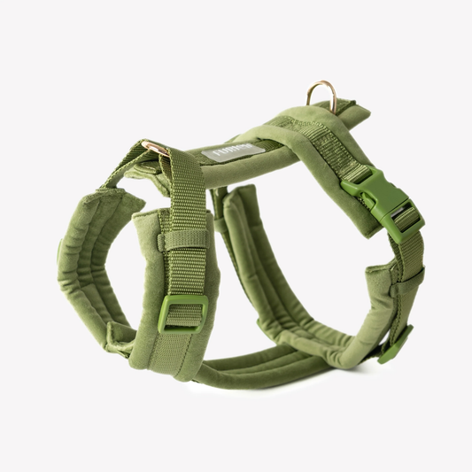 Green Velvet Dog Harness