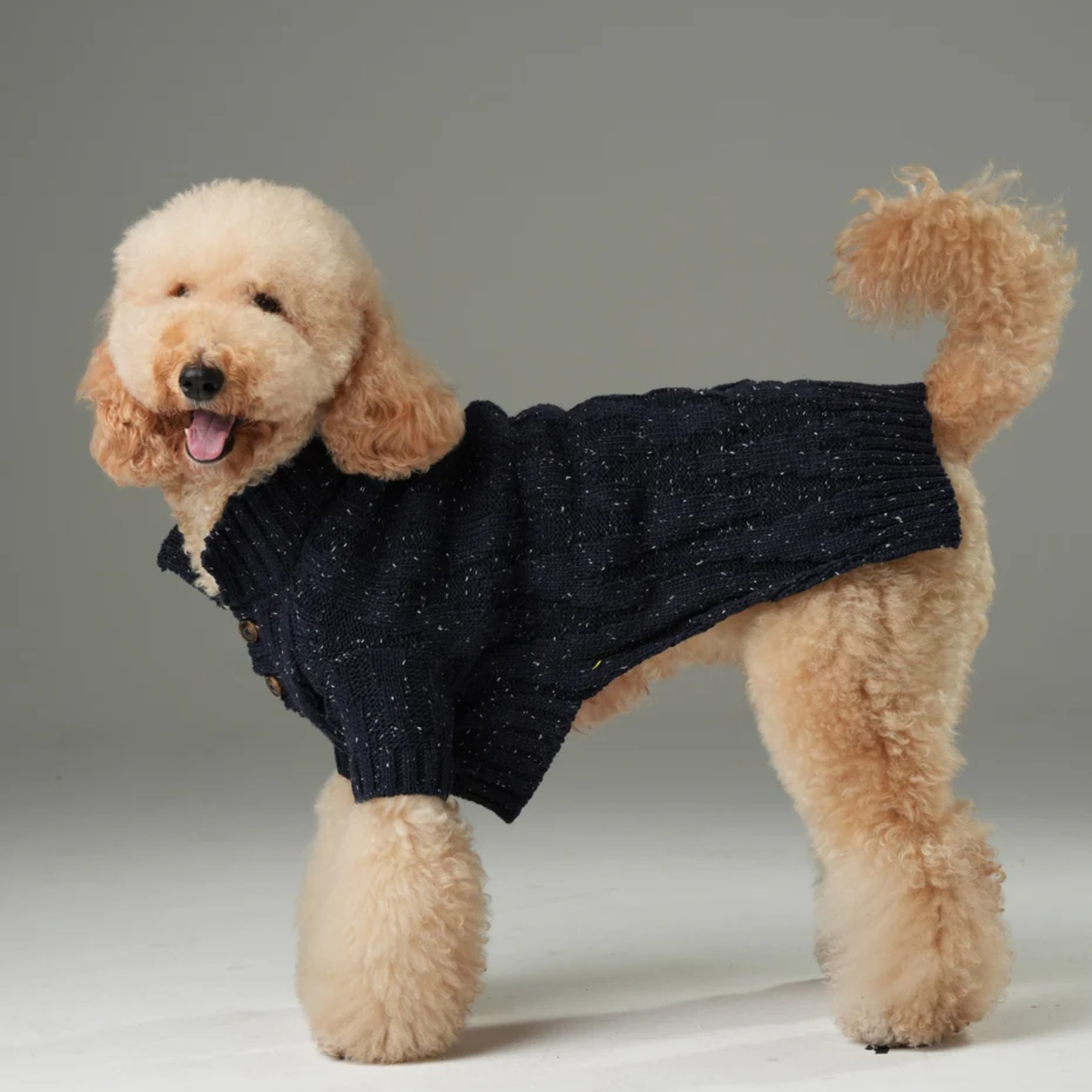 Glacier Pet Sweater Navy