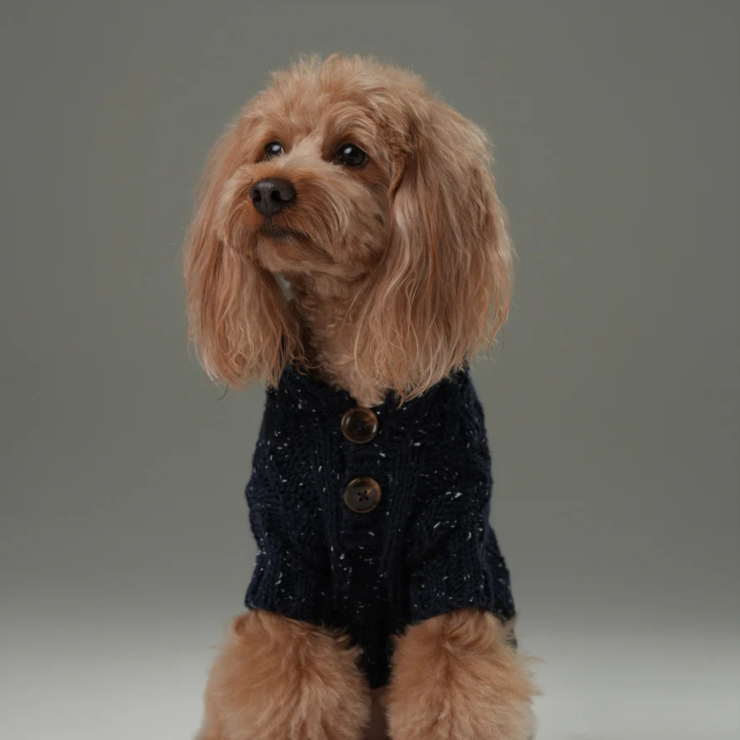 Glacier Pet Sweater Navy
