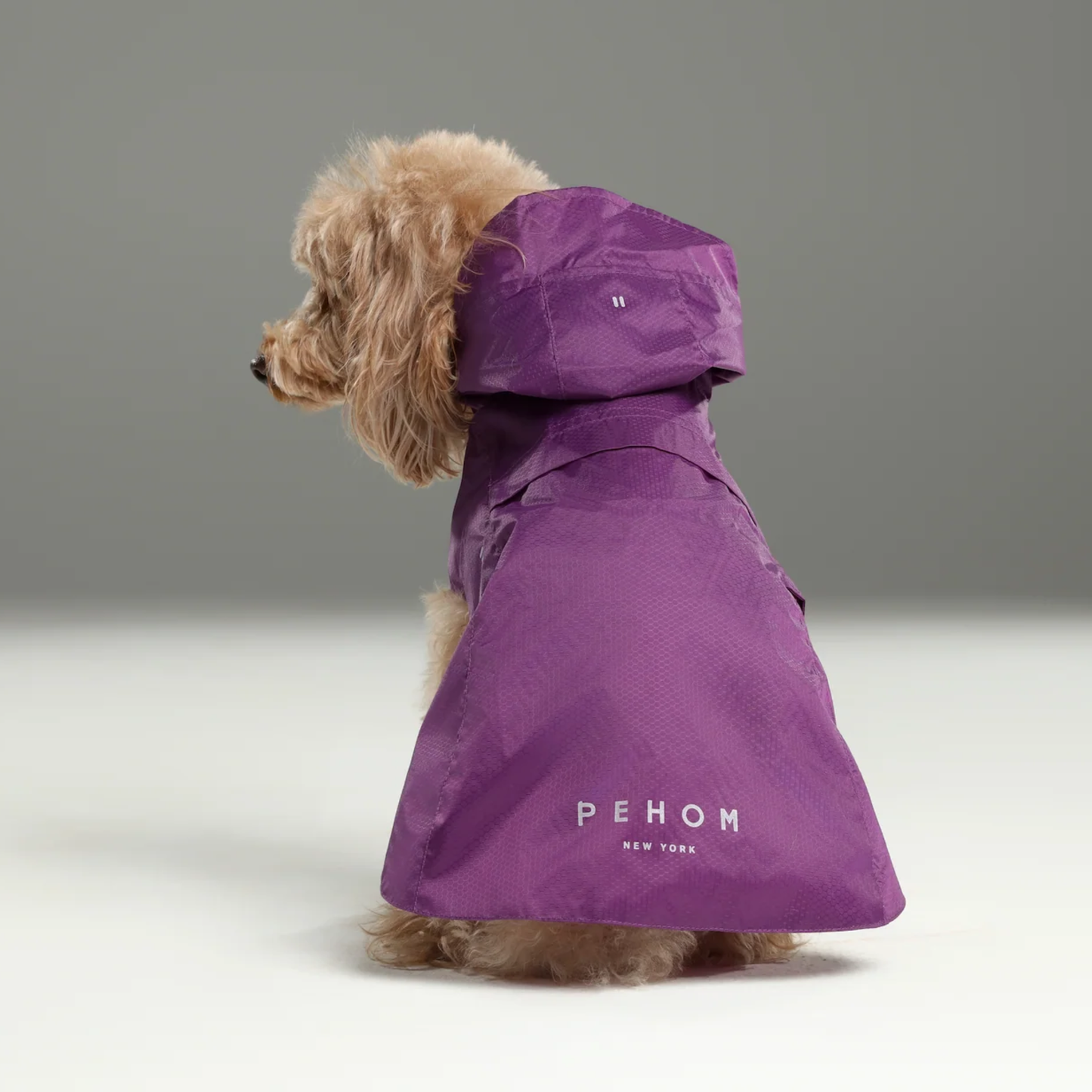 Capsule Raincoat Purple