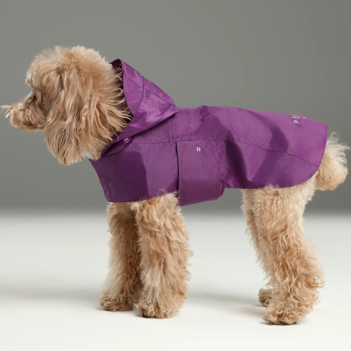 Capsule Raincoat Purple
