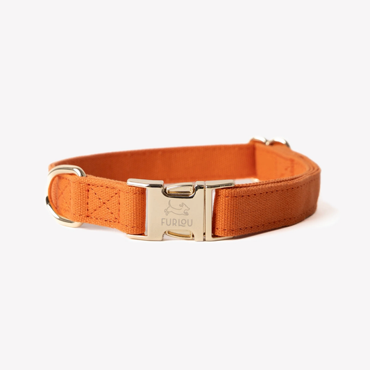 Terracotta Dog Collar