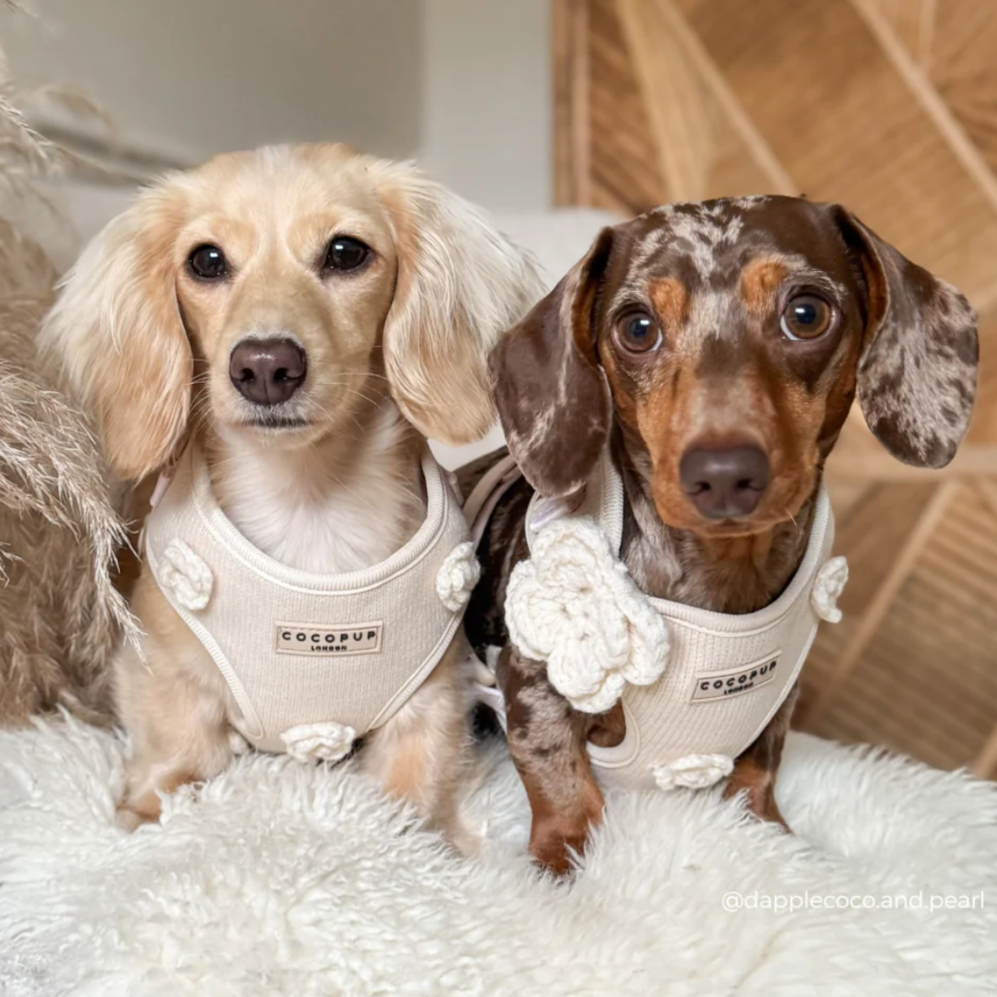 Petal Patch Adjustable Neck Harness