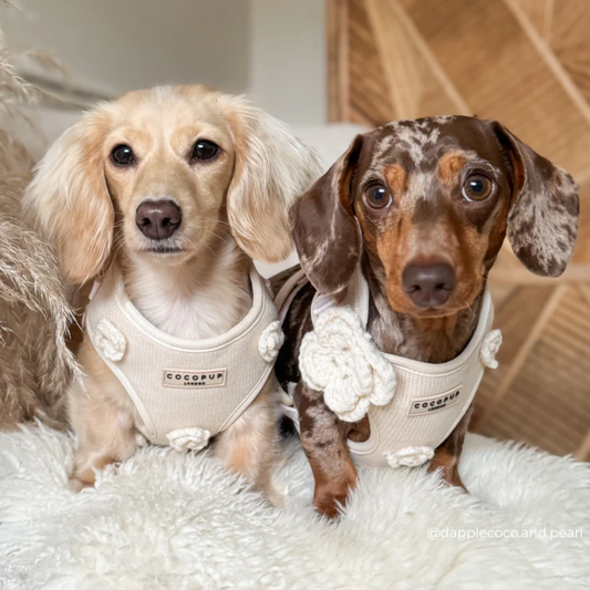Petal Patch Adjustable Neck Harness
