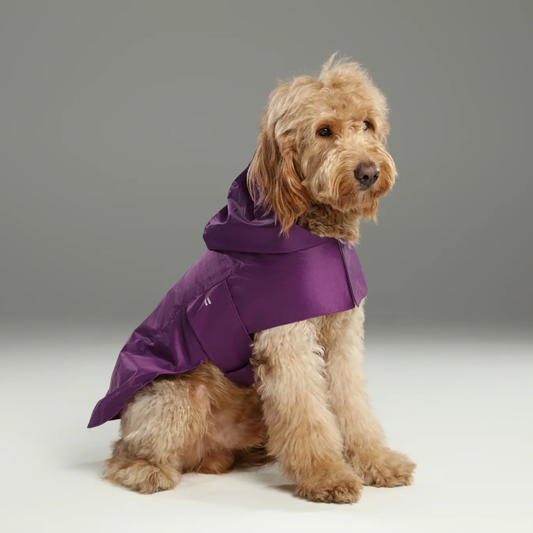 Capsule Raincoat Purple