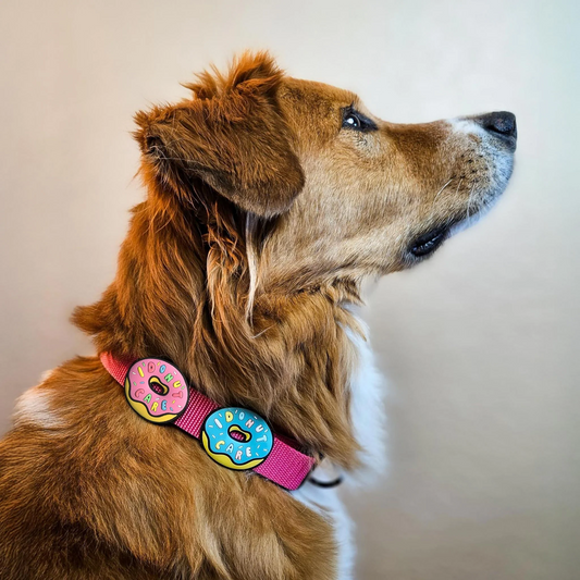 I Donut Care Dog Jiby 