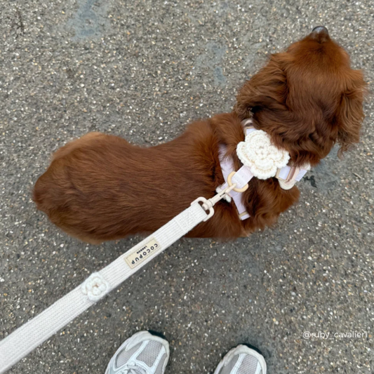 Petal Patch Leash