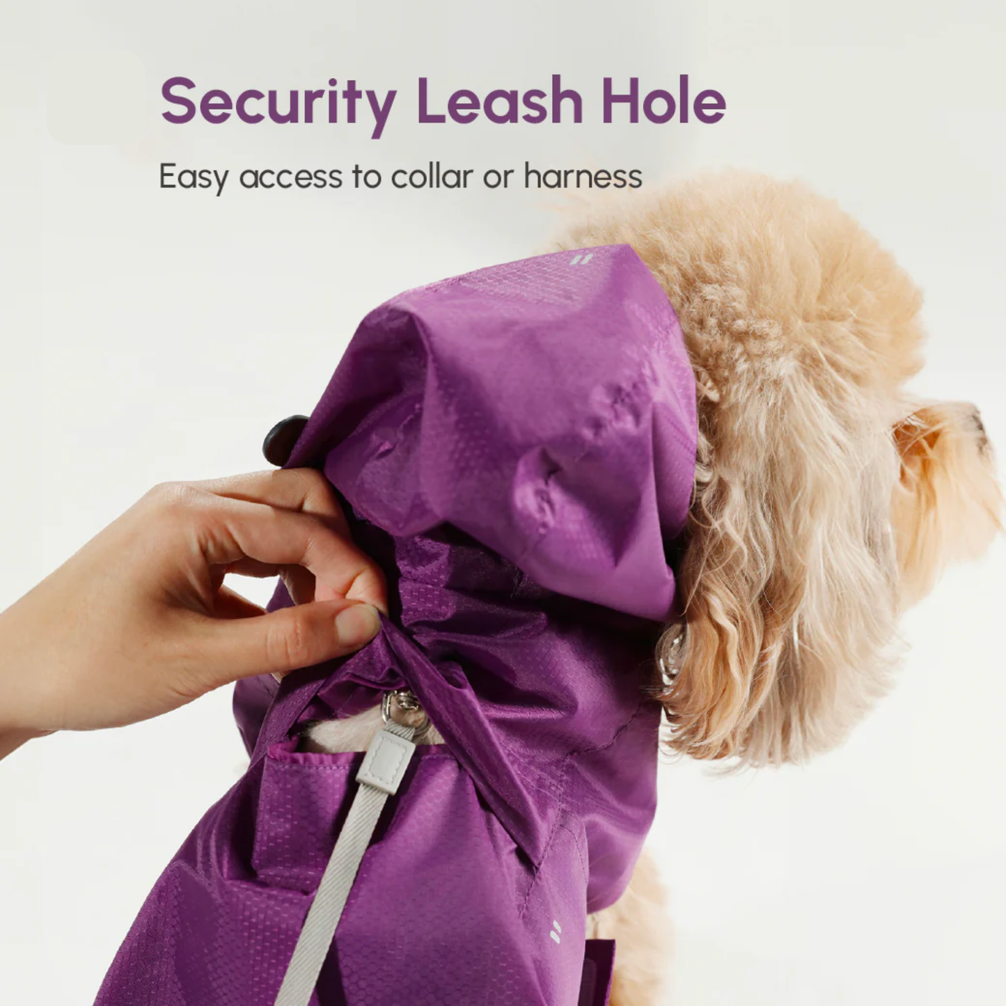 Capsule Raincoat Purple