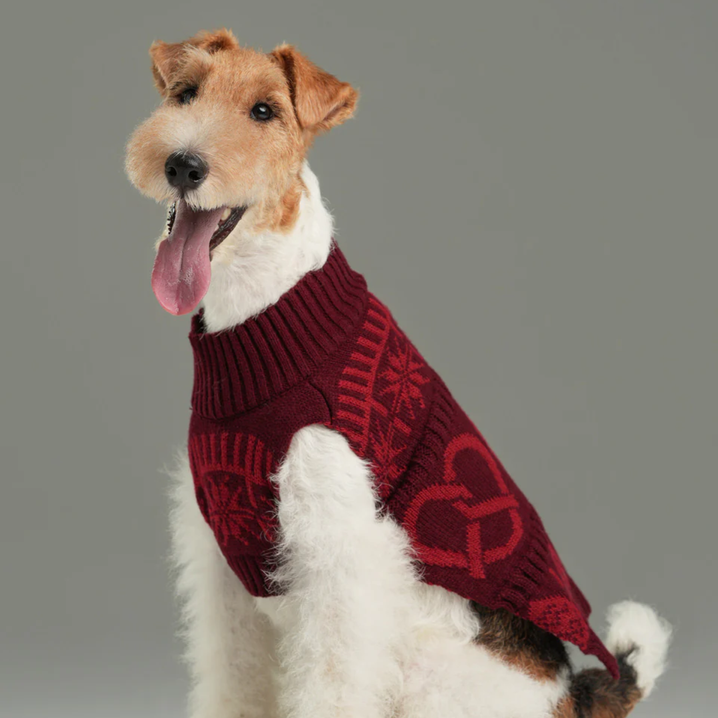 Pretzel Pet Sweater Burgundy