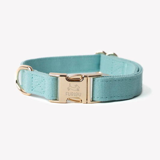 Aqua Blue Dog Collar