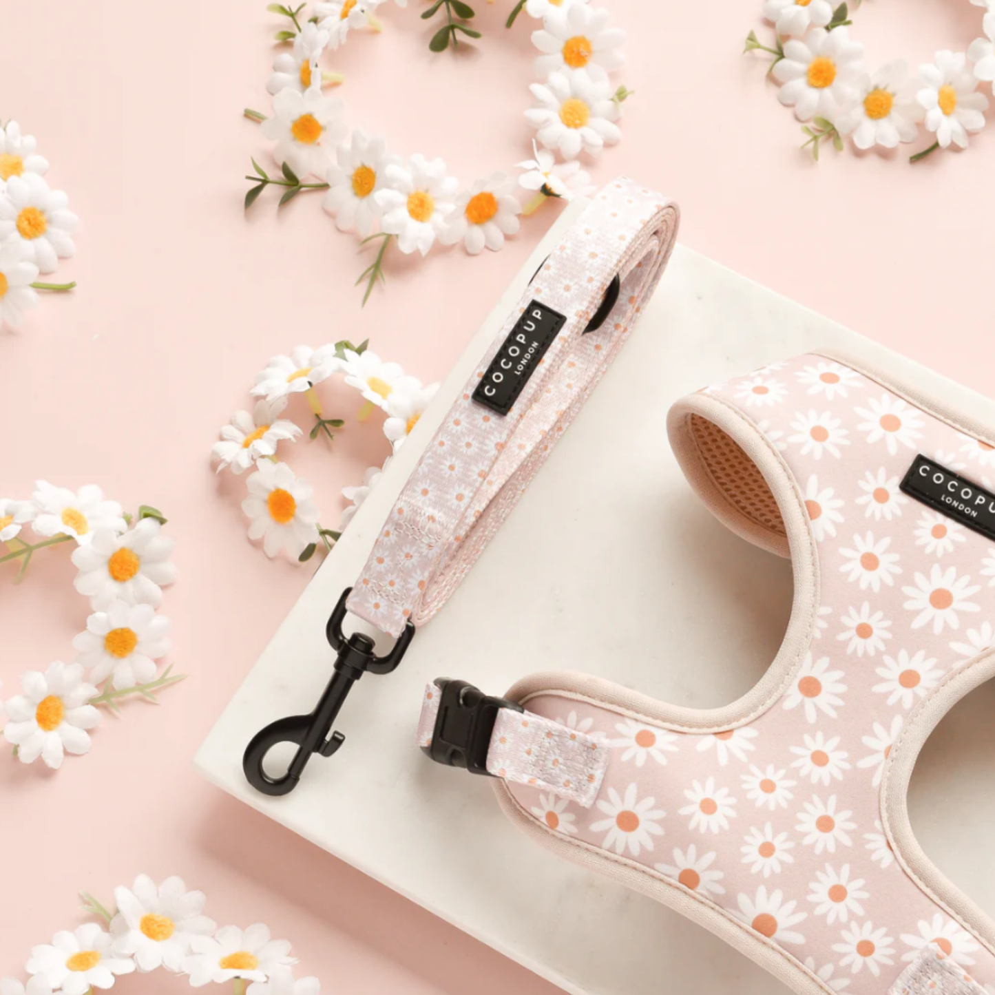 Daisy Chain Leash