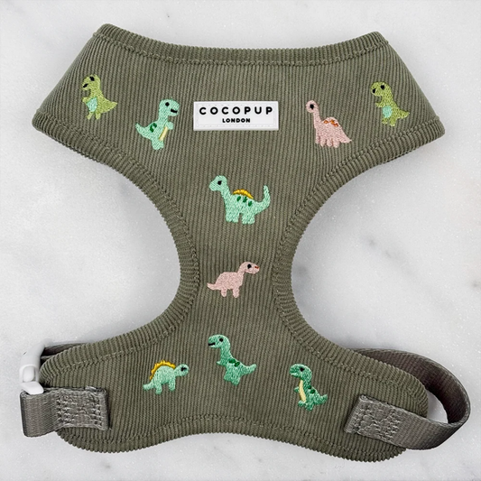 Dino Doodles Adjustable Neck Harness