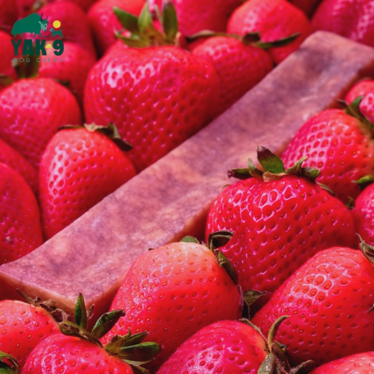 Strawberry Yak Cheese Chews