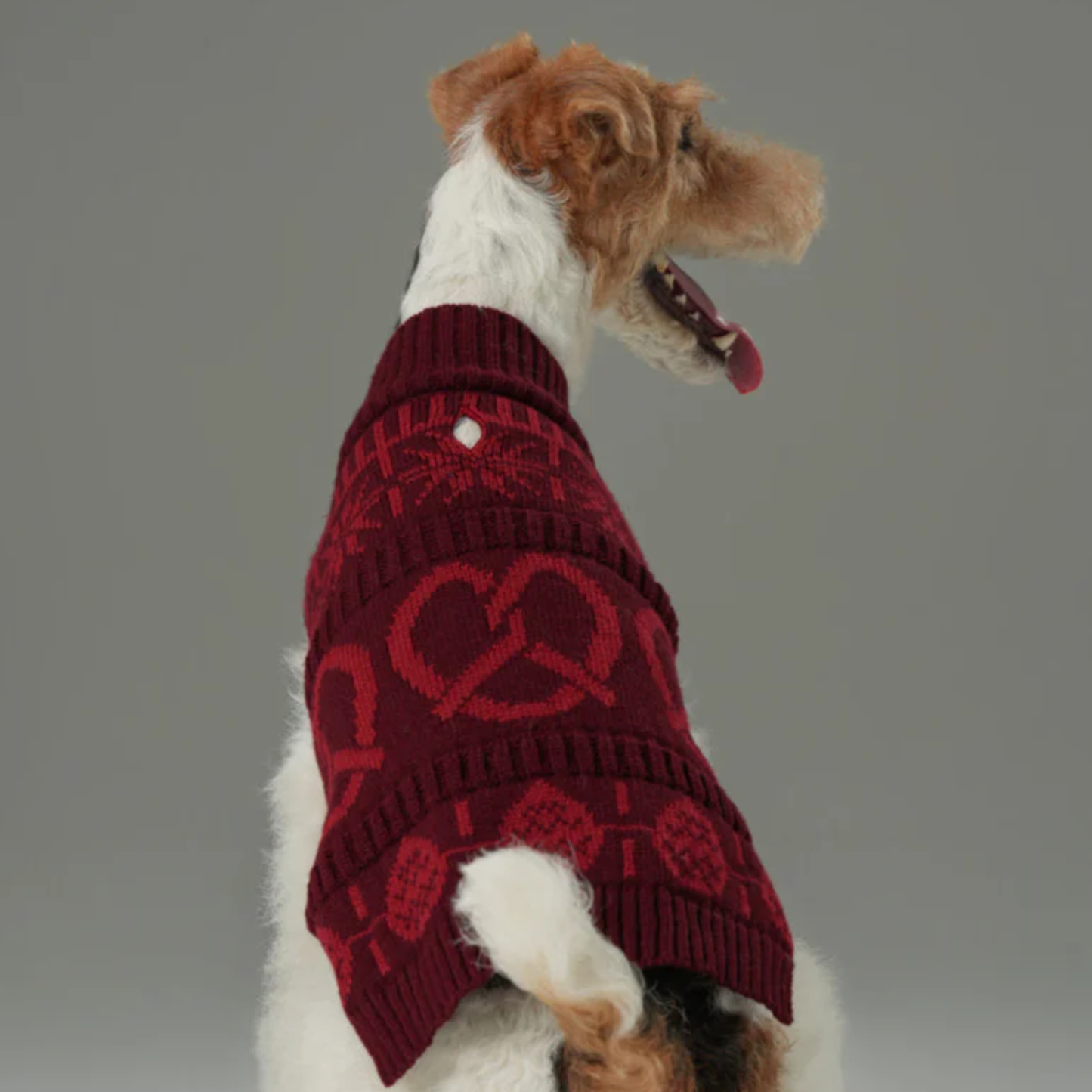 Pretzel Pet Sweater Burgundy