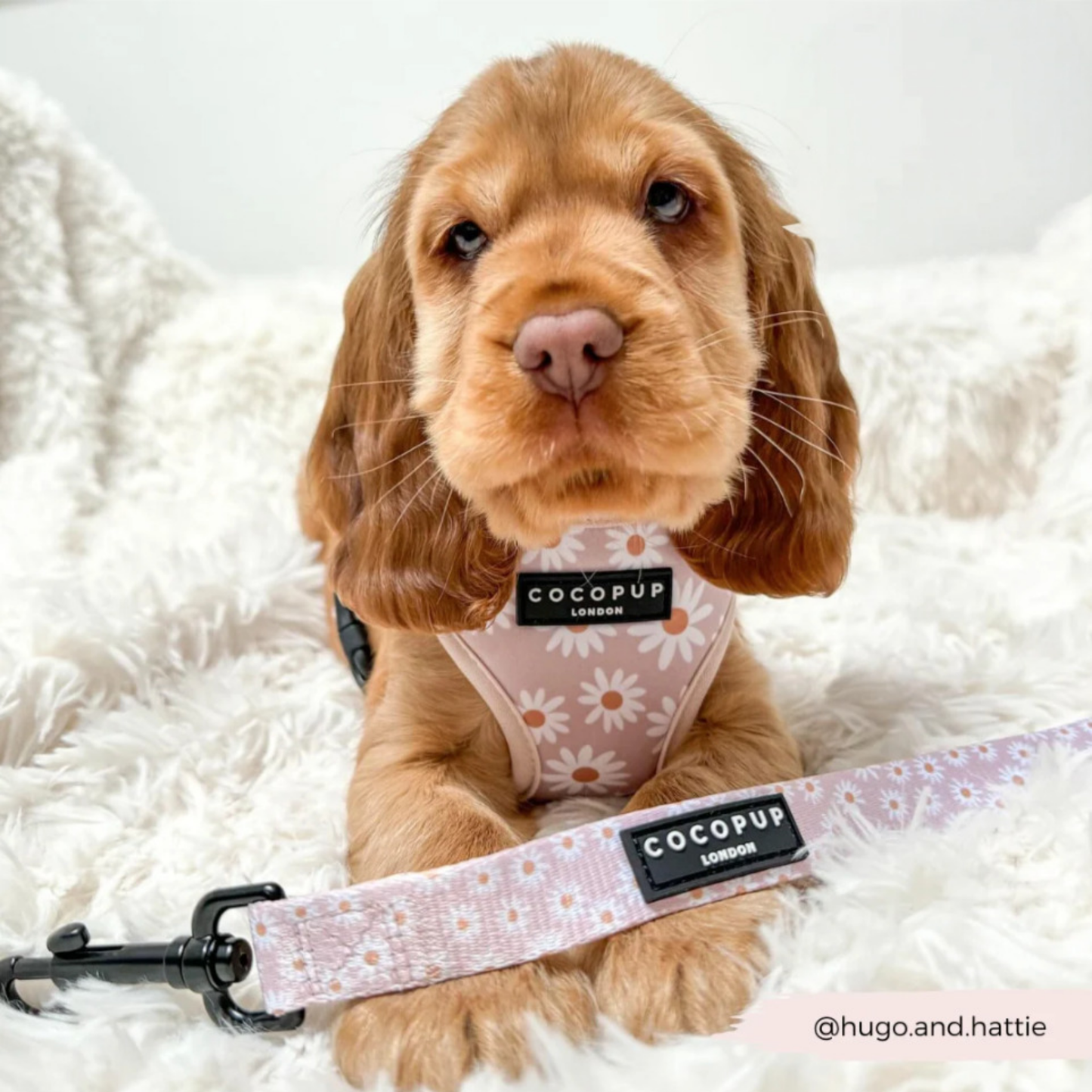 Daisy Chain Leash