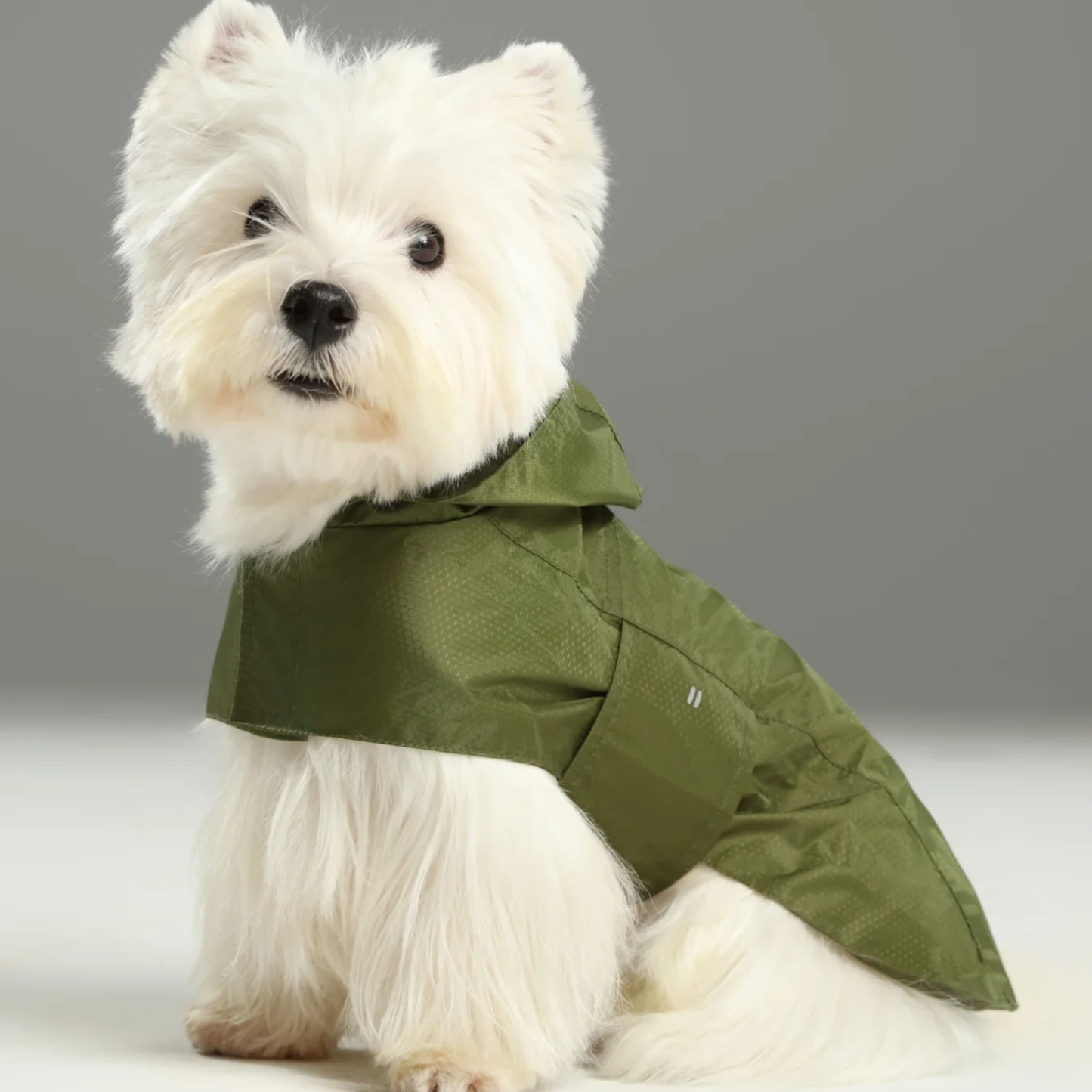 Capsule Raincoat Green
