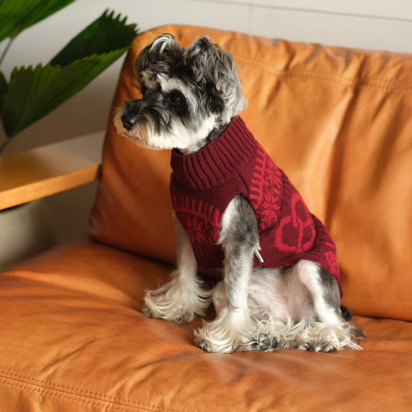 Pretzel Pet Sweater Burgundy