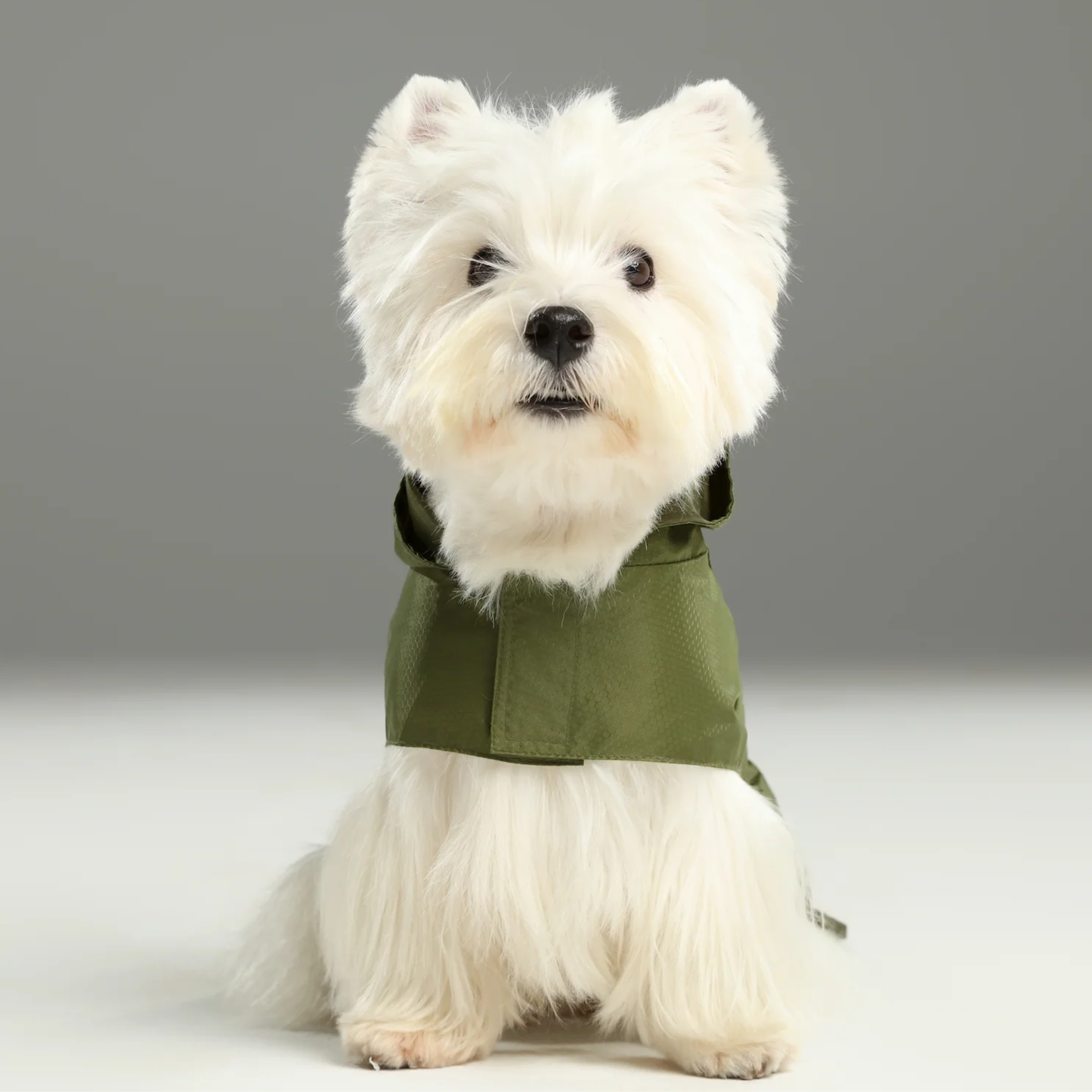 Capsule Raincoat Green