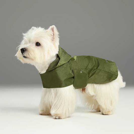Capsule Raincoat Green