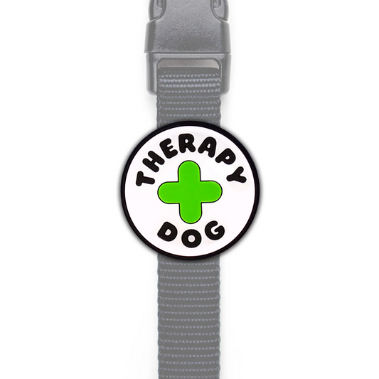 Therapy Dog Jiby