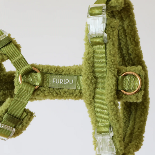 Lime Green Sherpa Dog Harness