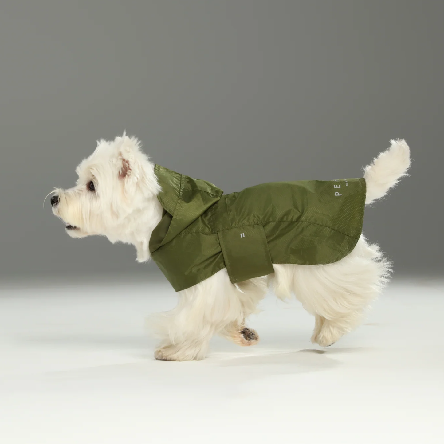 Capsule Raincoat Green