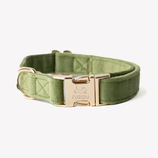 Green Velvet Dog Collar