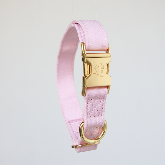 Pastel Pink Dog Collar
