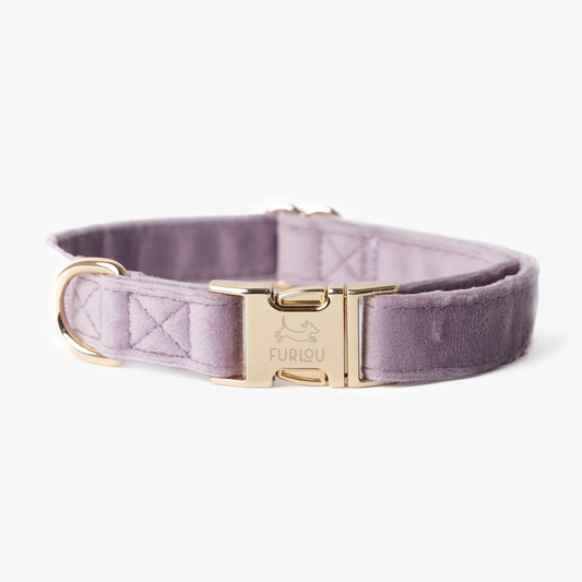 Lilac Velvet Dog Collar
