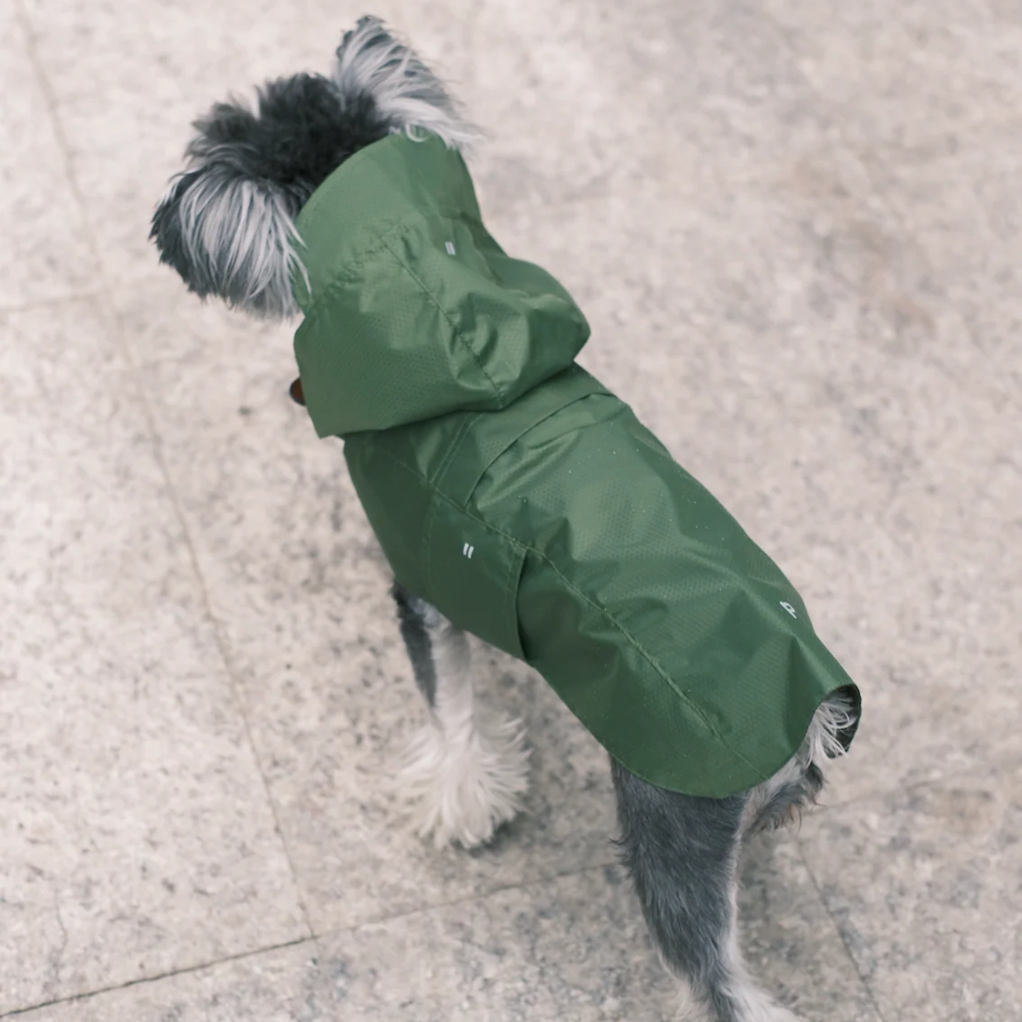 Capsule Raincoat Green