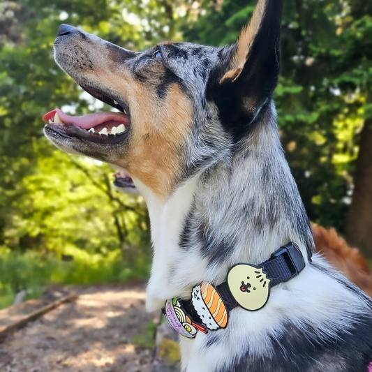 Sushi Dog Jiby