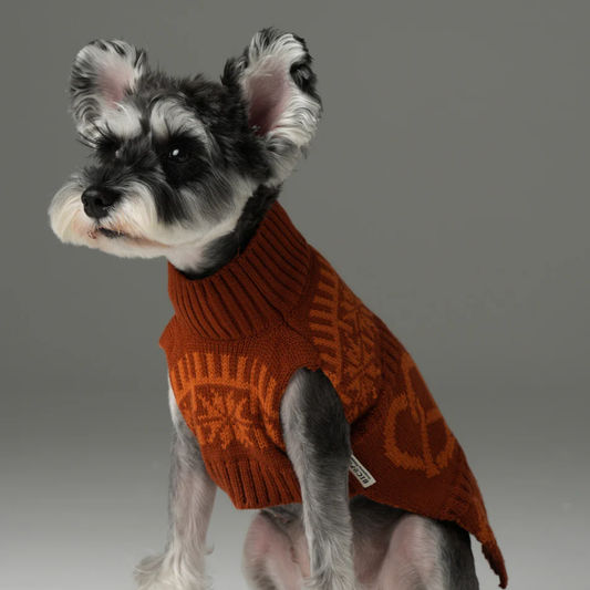 Pretzel Pet Sweater Tofee Orange