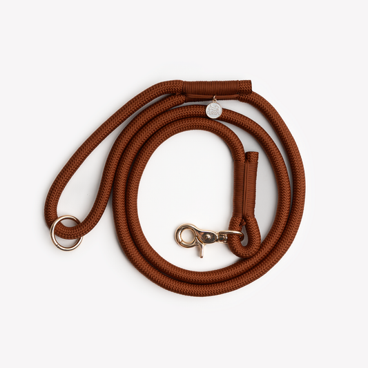 Clay Braided Rope Leash