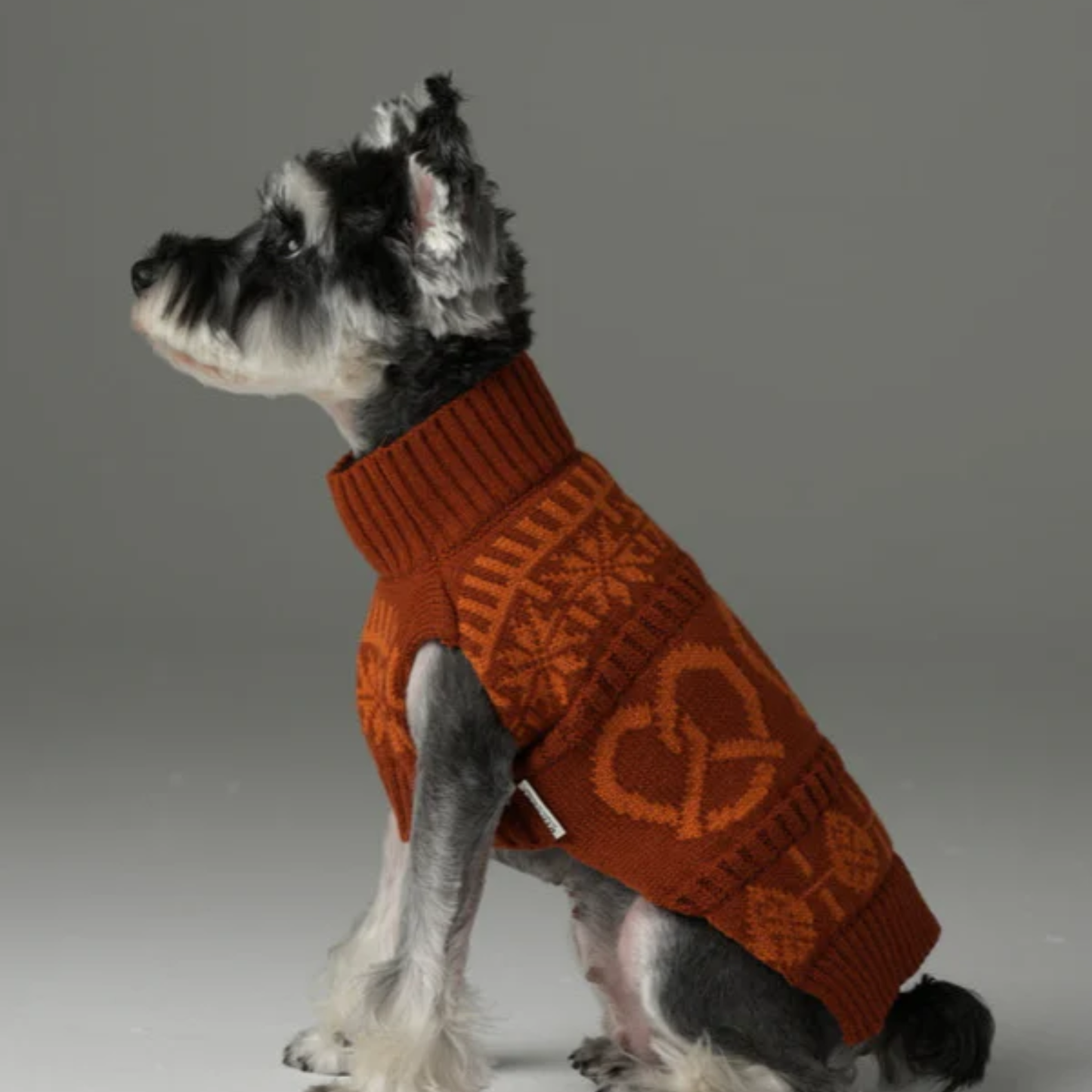 Pretzel Pet Sweater Tofee Orange