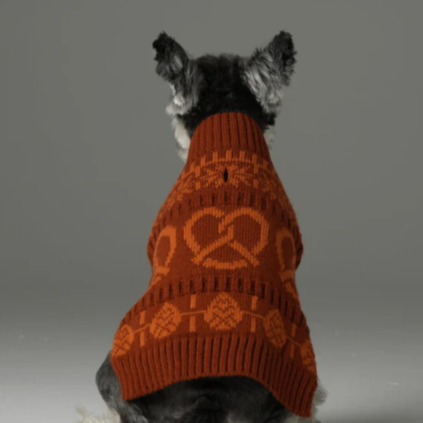 Pretzel Pet Sweater Tofee Orange
