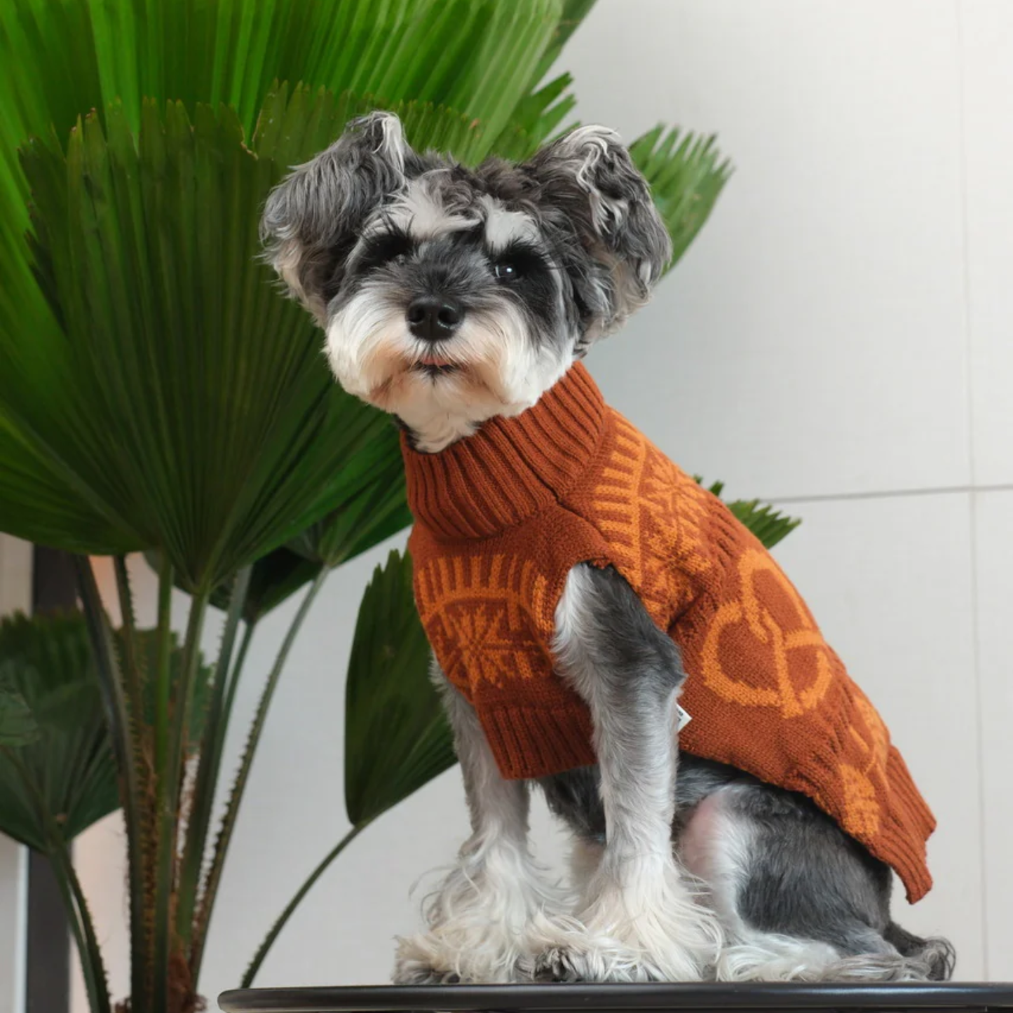 Pretzel Pet Sweater Tofee Orange